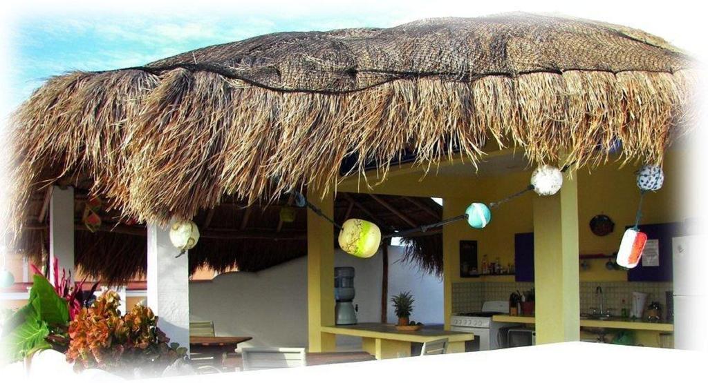 Coral Reef Inn Косумель Экстерьер фото